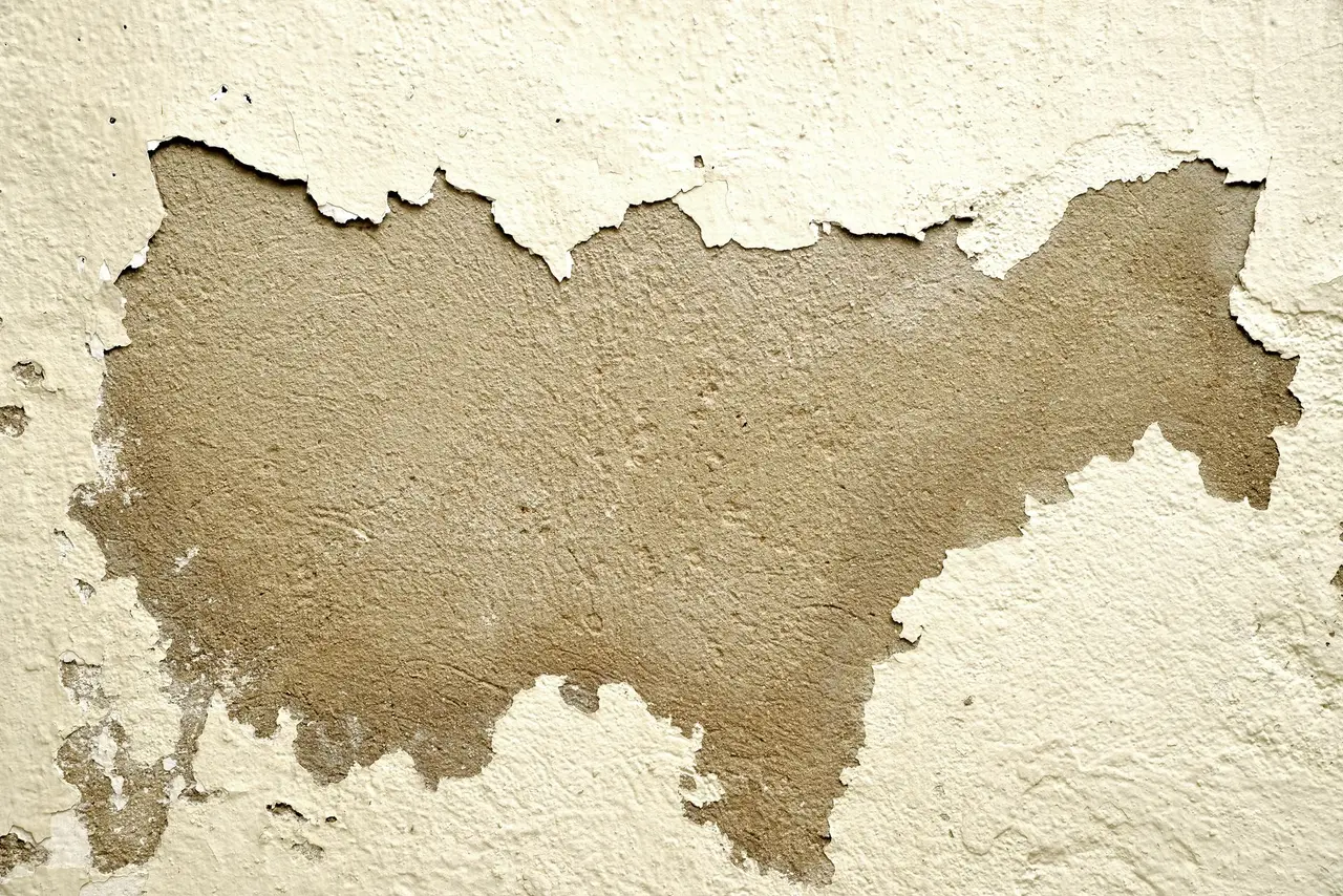 Bedroom Ceiling Water Damage Repair in Sherrelwood