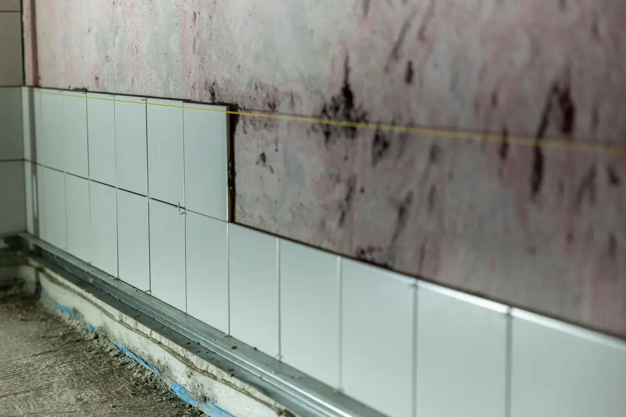 Ceiling Mold Remediation in Sherrelwood